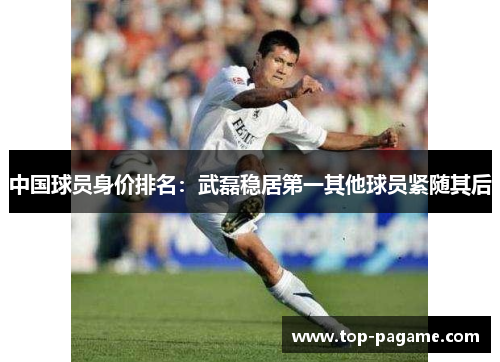 中国球员身价排名：武磊稳居第一其他球员紧随其后