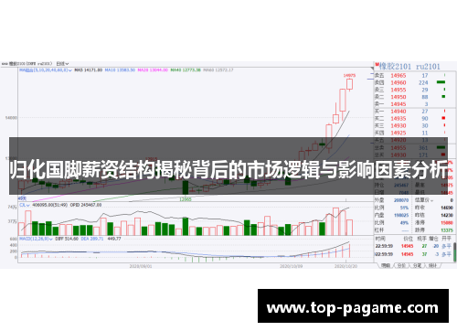 归化国脚薪资结构揭秘背后的市场逻辑与影响因素分析 归化国脚薪资结构揭秘背后的市场逻辑与影响因素分析