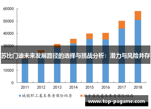 苏比门迪未来发展路径的选择与挑战分析:潜力与风险并存 苏比门迪未来发展路径的选择与挑战分析:潜力与风险并存