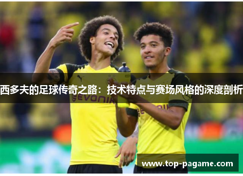 西多夫的足球传奇之路:技术特点与赛场风格的深度剖析 西多夫的足球传奇之路:技术特点与赛场风格的深度剖析