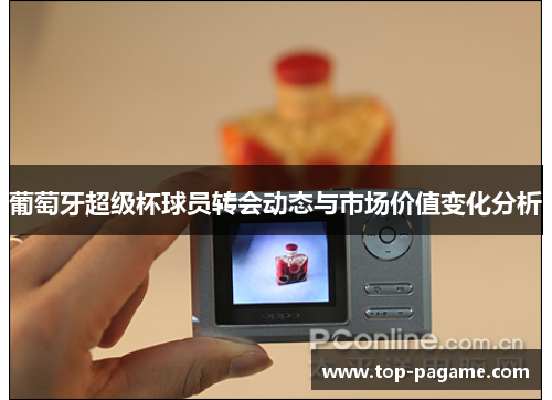 葡萄牙超级杯球员转会动态与市场价值变化分析 葡萄牙超级杯球员转会动态与市场价值变化分析